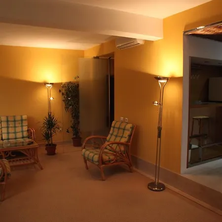 فندق Hotel Central تيميشورا