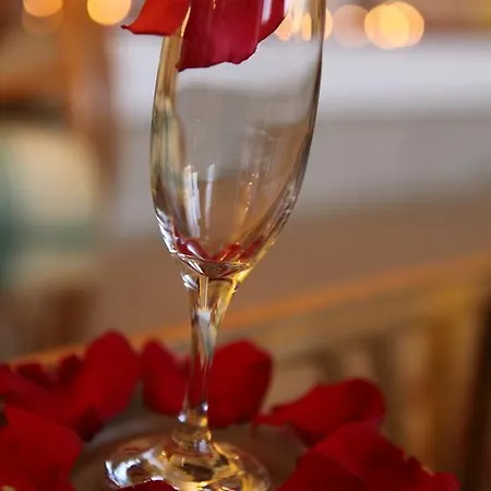 Hotel Hotel Central Timisoara