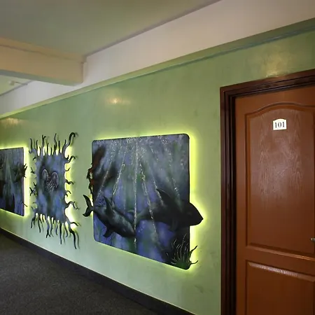 Hotel Central 2* Timisoara