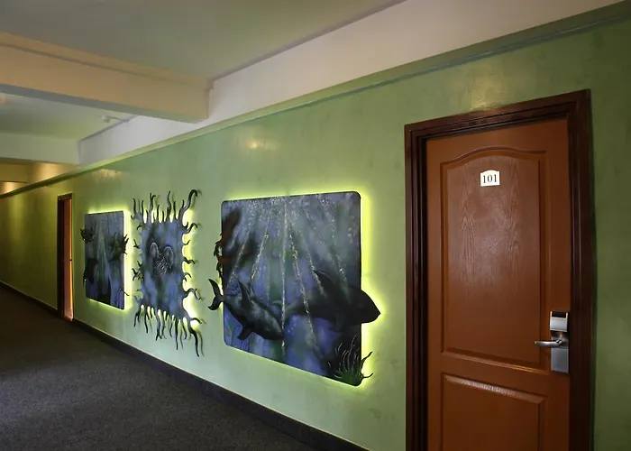 Hotel Central 2* טימישוארה