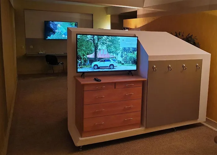 Hotel Central מלון טימישוארה